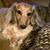 Janette Blackwell's profile image