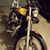 Suzi Sawyer Bertolino's profile image