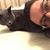 Sarah Anaphora's profile image