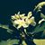 Heather Fujikawa's profile image