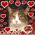 Barbara Cooper's profile image