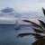 Laura Nevarez's profile image