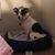 Raetta Ewing's profile image