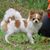 Becky Herrmann McComas's profile image