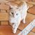 Jeanmarie Schiller-McGinnis's profile image