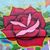Trisha Mullin's profile image