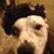 Donna Hoover's profile image