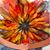 Bridget Kenney Kelman's profile image