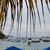 Marisela Castillo's profile image