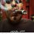 David Hernandez's profile image
