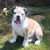 Cameron Coble's profile image