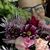 Erica L Hauck's profile image