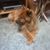 Sandra J Bettis's profile image
