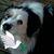 Jan L Hill's profile image