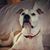 Diane Liston's profile image