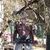 Darryll Fletcher's profile image