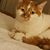 Bonnie Michelotti's profile image
