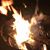 Maureen Bibik's profile image