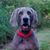 Nick Graham's profile image
