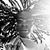 Patrice NiaRose Harris's profile image
