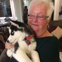 Gail English's profile image