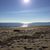 Susan Douglas Witham's profile image