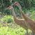 Jan Bergstrom's profile image