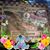 Janice Maxwell Purdy's profile image