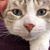 Peggy Griffin-Watson's profile image