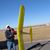Terry L. Mando's profile image