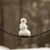 Janet Moyher's profile image