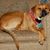 Beth Leonard's profile image