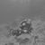 Jan Dunivan Hartz's profile image