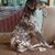 Diane Braswell's profile image