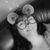 Sue Morris Gorman's profile image