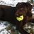 Kyle Jacquays's profile image