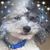 Maggie Anderson Voecks's profile image