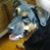 Christine A. Santiago's profile image