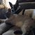 Annette Marie Riedinger's profile image