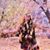 Carmen Sanchez's profile image