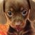 Nancy Cadou Fuegel's profile image