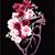 Alyaa Fahmy Abdo's profile image