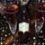 Tammy Shupe Solomon's profile image
