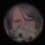 Tammy Spring's profile image