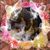 Judy S B.'s profile image