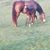 Ginny Gansen's profile image