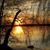 Sue Murnan Spohr's profile image