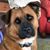 Stephanie Begley's profile image