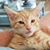 Michelle Trask Allan's profile image
