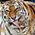 Tami Sanford's profile image